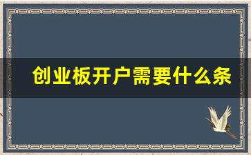 创业板开户需要什么条件 19年(创业板开户资金要求)_https://www.ljyuan-tech.com_北交所_第1张